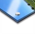 Tuscany Vineyards Cabernet Franc Acrylic print