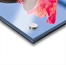 Butterflies Are Free  Acrylic print