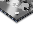 Black and White Floral Series 2 Acrylic print