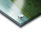 Woman In A Field Acrylic print