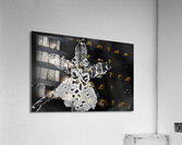 Spotted Orchid Acrylic Print