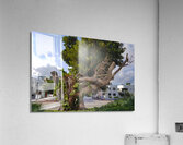 The Survivor Acrylic Print