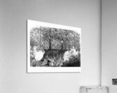Tree Art Acrylic Print