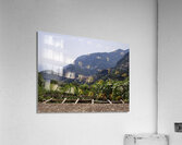 Amalfi views - 4 Acrylic Print