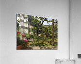 Amalfi vineyards Acrylic Print
