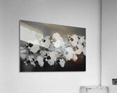Black and White Floral Series 2 Acrylic Print
