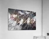 Black and White Floral Series 3 Acrylic Print