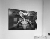 Black and White Orchid Series 2 Acrylic Print