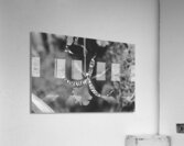 Black and White Orchid Series 1 Acrylic Print