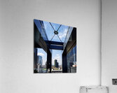 Milanos Bosco Verticale Acrylic Print