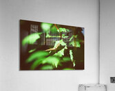 Butterfly With A Captured Beetle Impression acrylique