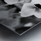 Black  White Floral Series - Double Trouble Metal print