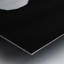 Black  White Floral Series 10 Metal print