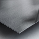 Black  White Bird of Paradise  Metal print