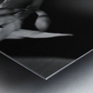 Black  White Floral Series 11 Metal print