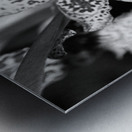 Black  White Floral Series 8 Metal print