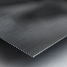 Black  White Floral Series 13 Metal print