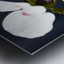 Green Orchid Metal print