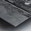 Horse Stretch Metal print