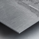 Black Horse Dust Metal print