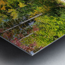 Green Oasis Metal print