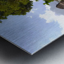 The Survivor Metal print