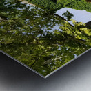 Capri homestead Metal print