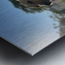 Rufus The Happy Dog Metal print