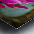 Fuschia Peony Side View Metal print