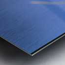 Black butterfly flower love Metal print