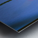 Butterfly and flower love Metal print