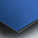 Butterflies at play Metal print