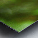 Orange butterfly having a drink Metal print