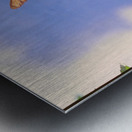 Orange butterflies playing Metal print