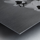 Black and White Floral Series 2 Metal print