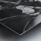 Black and White Floral Series 3 Metal print