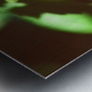 Butterfly With A Captured Beetle Impression metal