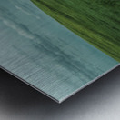 Woman In A Field Metal print