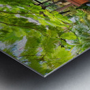 A peaceful Oasis Metal print