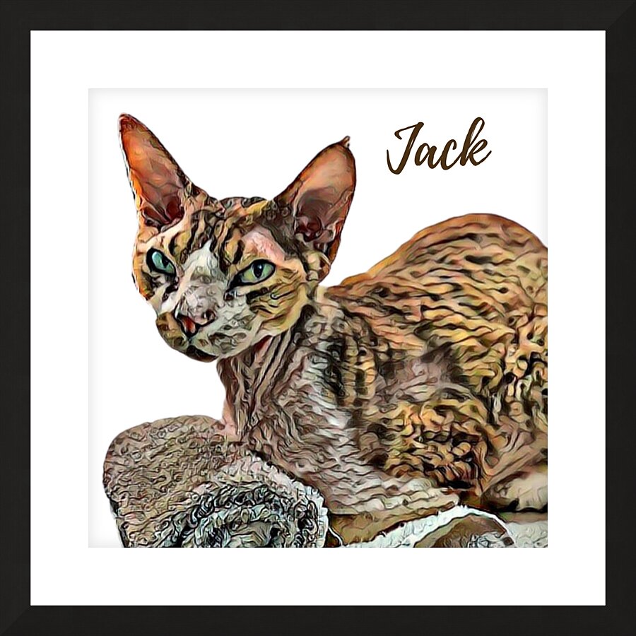 Meet Jack Picture Frame print