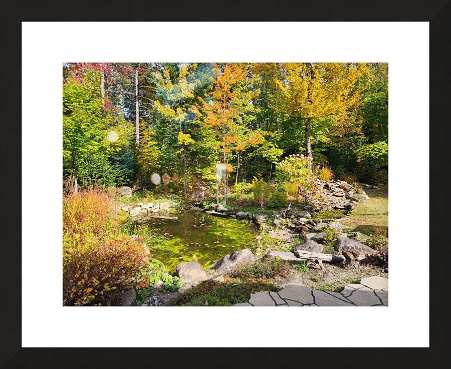 Green Oasis Picture Frame print