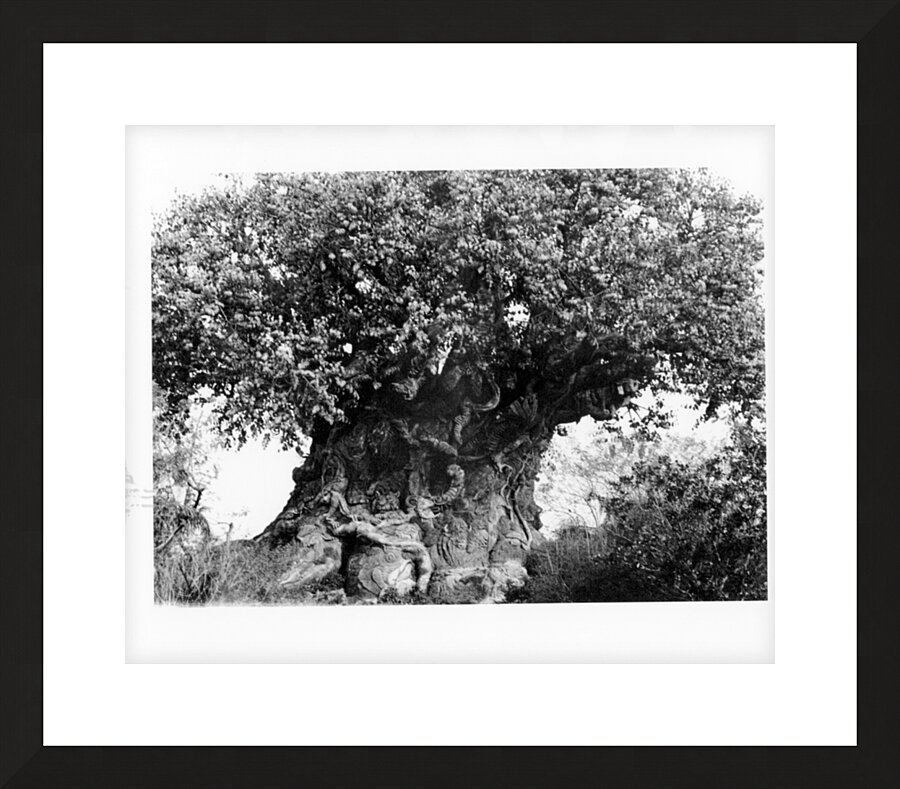 Tree Art Picture Frame print