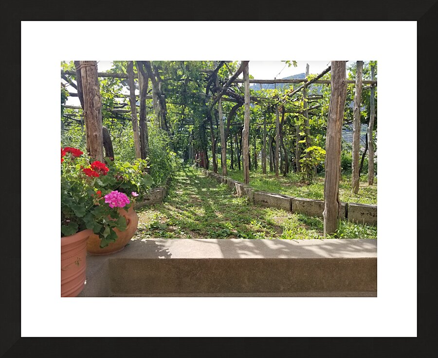 Capri Villas Picture Frame print