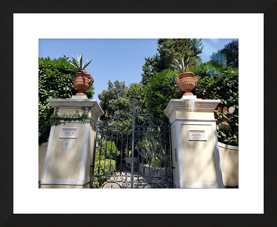 The Gates of Capri Series 2 Picture Frame print