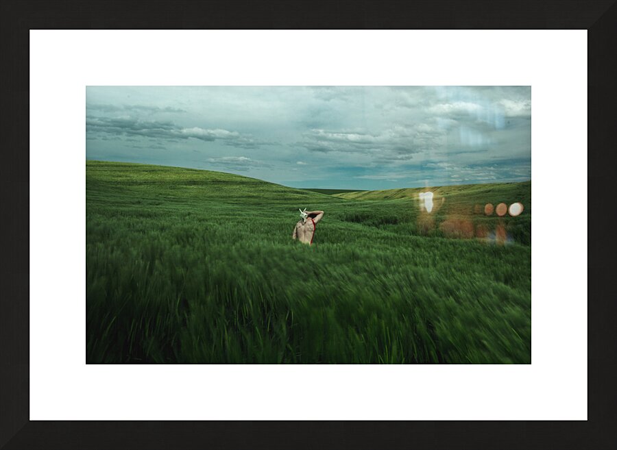 Woman In A Field Picture Frame print