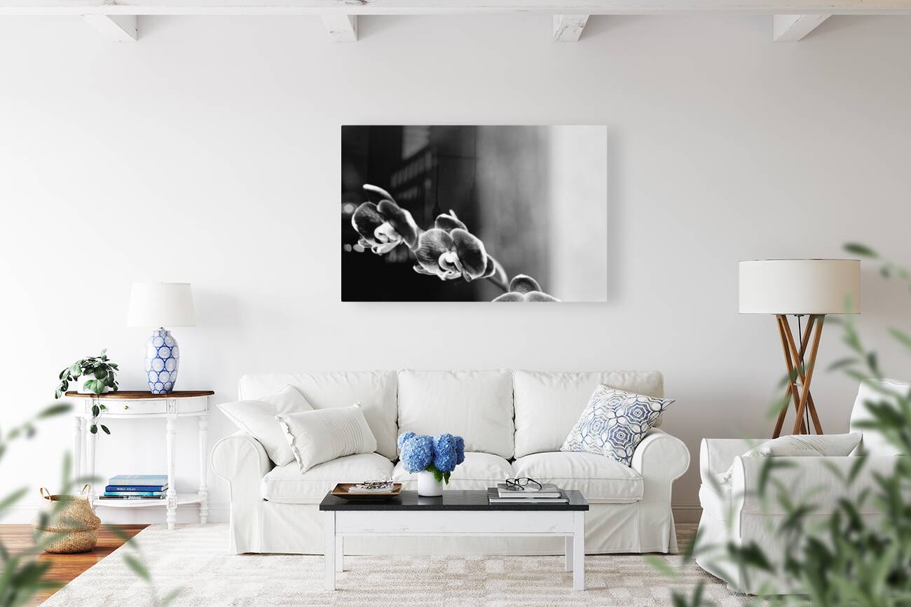 Black  White Floral Series 12 Reproduction