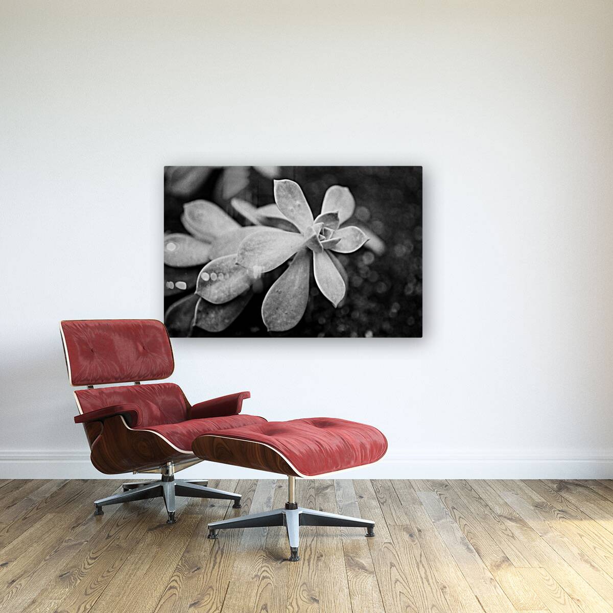 Black  White Floral Series1 Reproduction