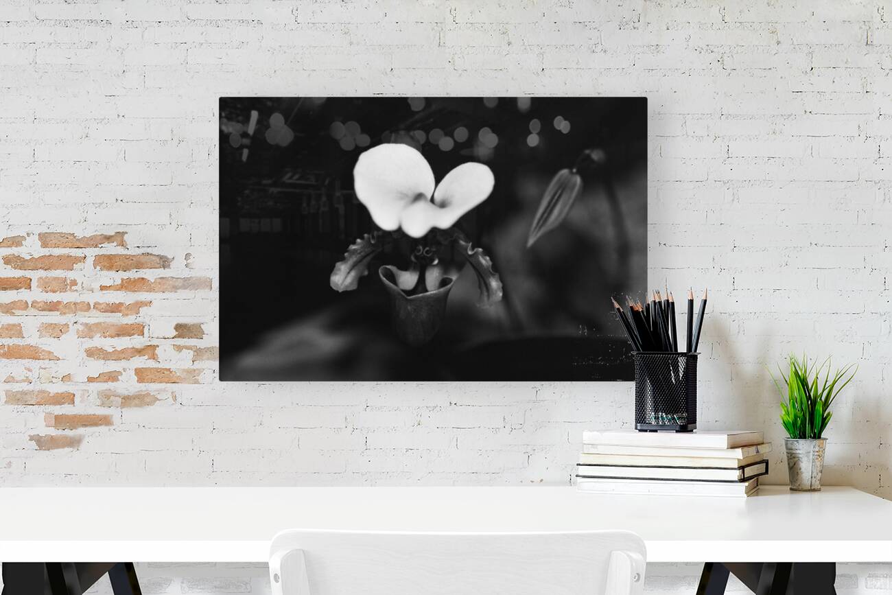 Black  White Floral Series 10 Reproduction