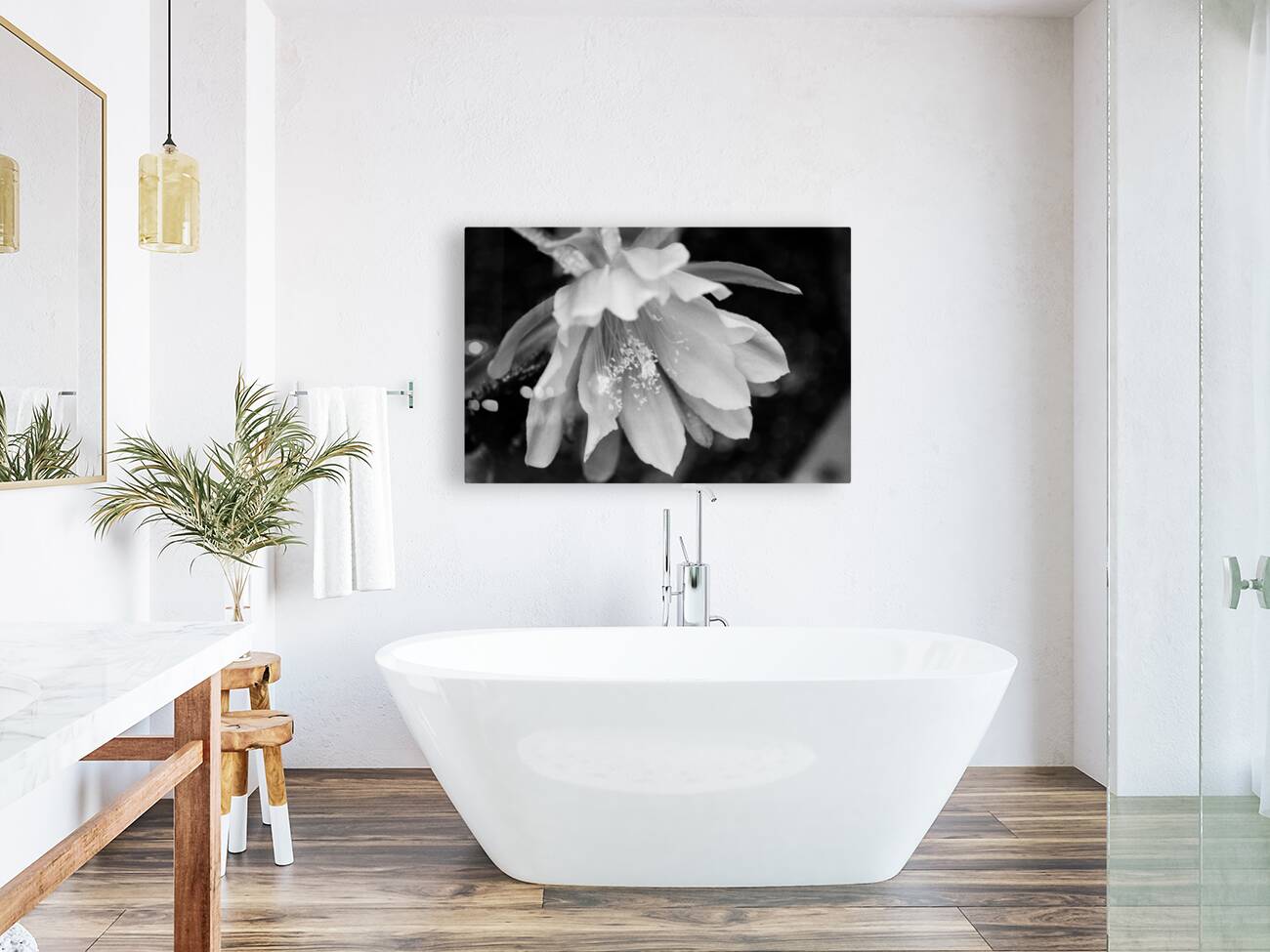 Black and White Peony Burst Reproduction