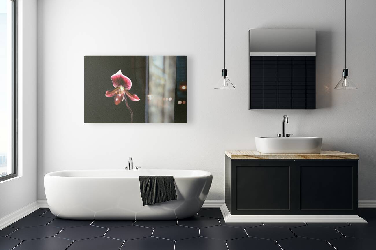 Red Orchid 2 Reproduction